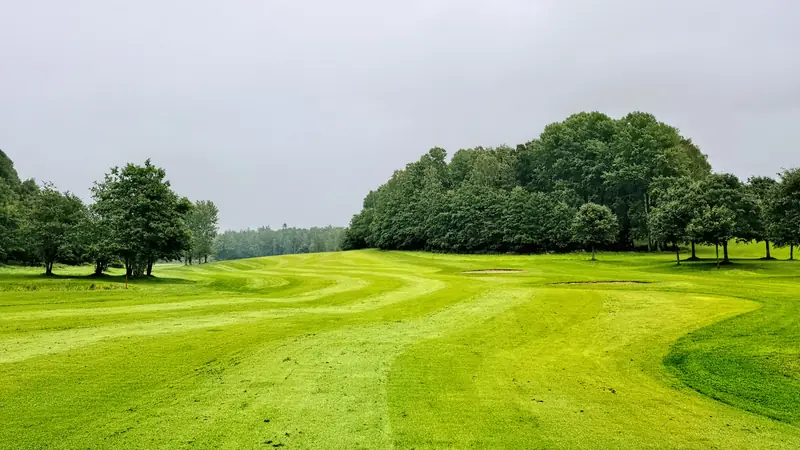 A scenic green golf course lined with trees