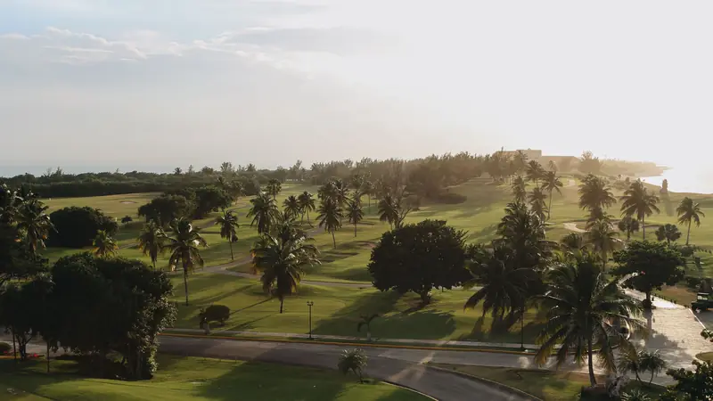 Aerial view of a tropical seaside golf course with palm trees at sunrise